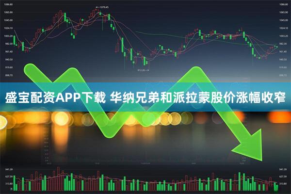 盛宝配资APP下载 华纳兄弟和派拉蒙股价涨幅收窄