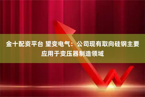 金十配资平台 望变电气：公司现有取向硅钢主要应用于变压器制造领域